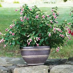 Barnsley Bowl, Small