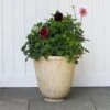 Milano Classic Planter -Planticaa Sales Store 20768