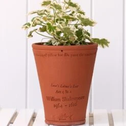 Love's Labour's Lost Pot