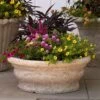 Positano Planter 2 Positano Planter -Planticaa Sales Store 24885
