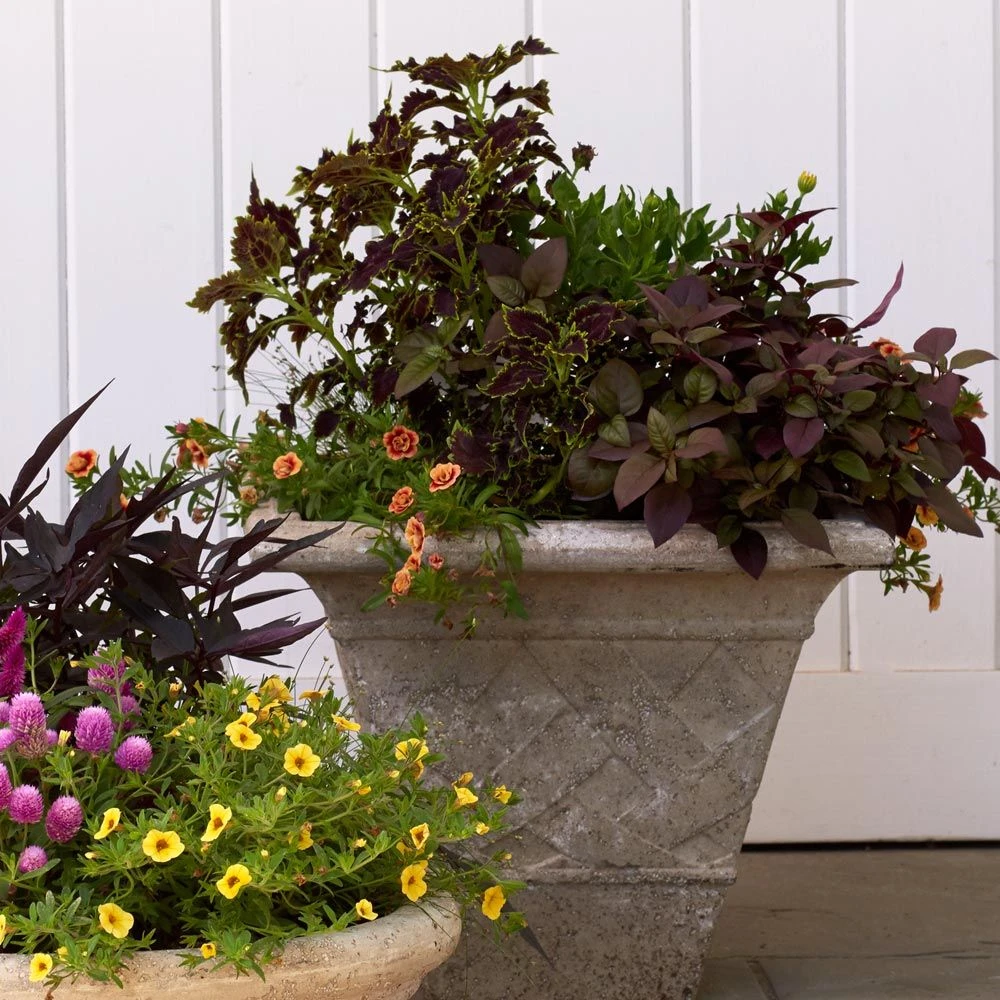 Lattice Square Pot 3 Lattice Square Pot