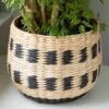 Owosso Basket, Medium 2 Owosso Basket, Medium -Planticaa Sales Store 30401
