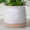 Geo Etched Ceramic Pot 1 Geo Etched Ceramic Pot -Planticaa Sales Store 30405
