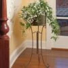 Jasmine In Filigree Plant Stand 2 Jasmine In Filigree Plant Stand -Planticaa Sales Store 37070