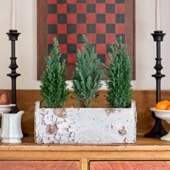 Festive Forest Trio In Birch Planter