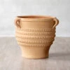 Cretan Pot Kostis -Planticaa Sales Store 39905