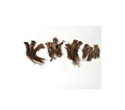 Wings Over Water Siberian Iris Collection -Planticaa Sales Store x600 12689