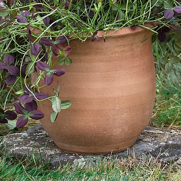 Cretan Pot Idomeneas 4 Cretan Pot Idomeneas - Image 2