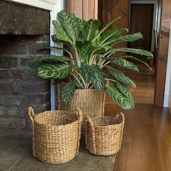 Water Hyacinth Basket, Large 4 Water Hyacinth Basket, Large - Image 2