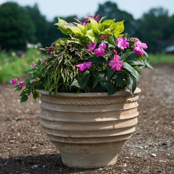 Cretan Cheese Jar 3 Cretan Cheese Jar