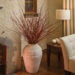 Cornus Sanguinea Arctic Sun® -Planticaa Sales Store x600 16910