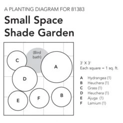 Small Space Shade Garden -Planticaa Sales Store x600 18079