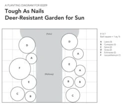 Tough As Nails Deer-Resistant Garden For Sun -Planticaa Sales Store x600 18084