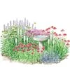 Hummingbird-Butterfly Garden For Sun -Planticaa Sales Store x600 18668