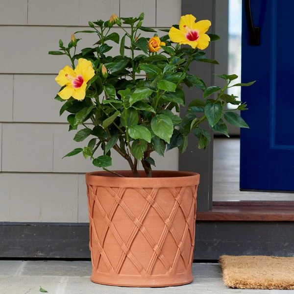 Basket Barrel Pot 4 Basket Barrel Pot - Image 2