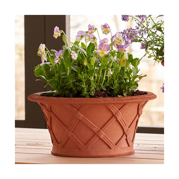 Shallow Basket Pot 4 Shallow Basket Pot - Image 2