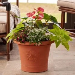 Lovebirds Pot -Planticaa Sales Store x600 18682