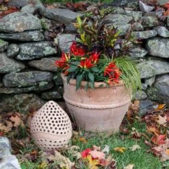 Cretan Candle Lantern 11 Cretan Candle Lantern -Planticaa Sales Store x600 20645