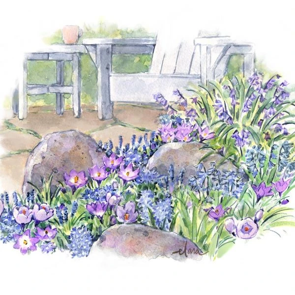 Pollinator Bulb Collection 6 Pollinator Bulb Collection - Image 4