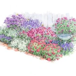 Pollinator Bulb & Perennial Garden -Planticaa Sales Store x600 22194