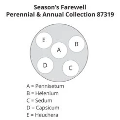 Season's Farewell Collection 15 Season's Farewell Collection -Planticaa Sales Store x600 23132