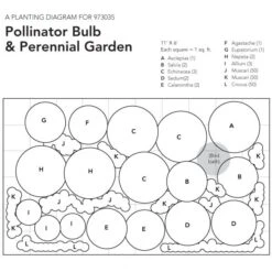 Pollinator Bulb & Perennial Garden -Planticaa Sales Store x600 23754