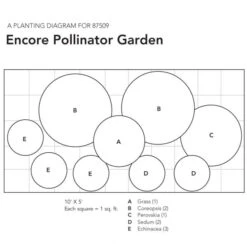 Encore Pollinator Garden -Planticaa Sales Store x600 23955