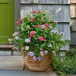 Cretan Pot Suzan -Planticaa Sales Store x600 24140