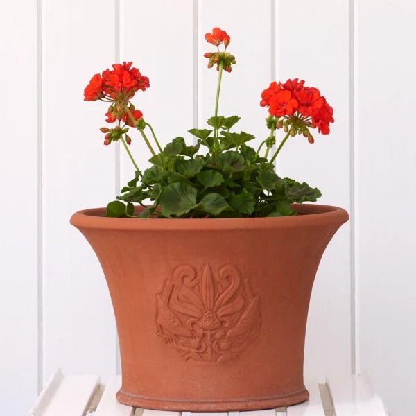 Birds & Berries Pot 4 Birds & Berries Pot - Image 2