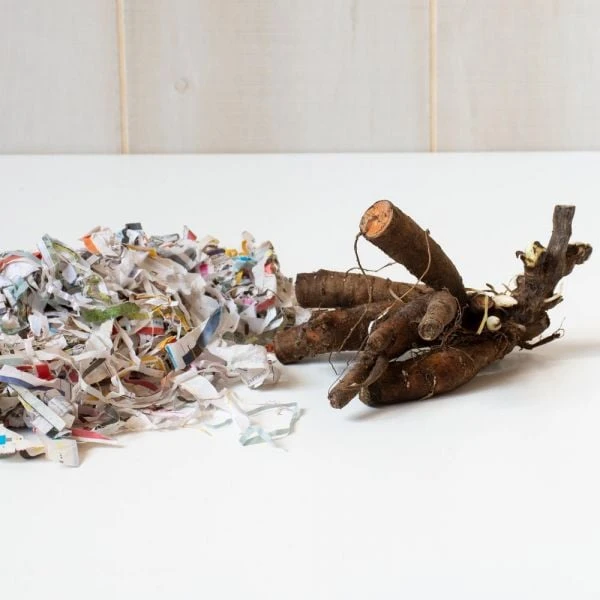 Peony 'Bouquet Perfect' 3 Peony 'Bouquet Perfect'