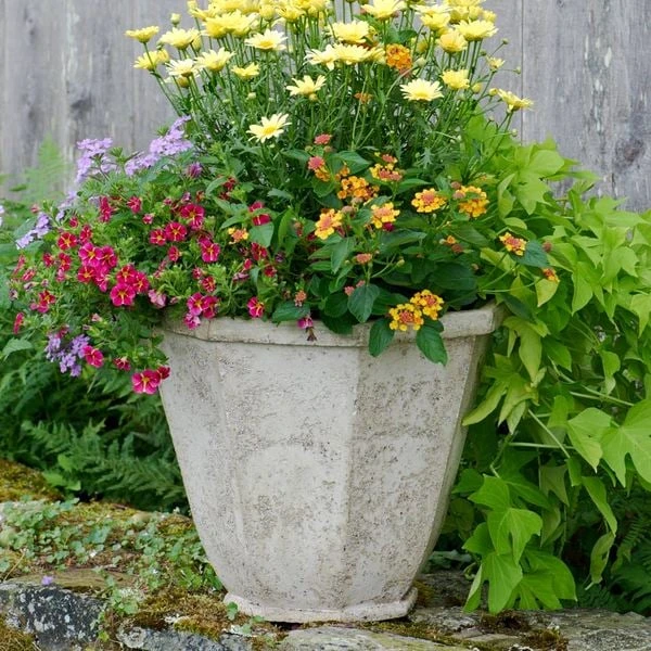 Milano Octagon Planter 3 Milano Octagon Planter
