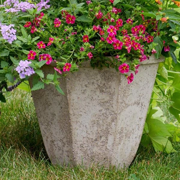 Milano Octagon Planter 5 Milano Octagon Planter - Image 3