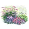 Hummingbird Garden For Shade -Planticaa Sales Store x600 28819