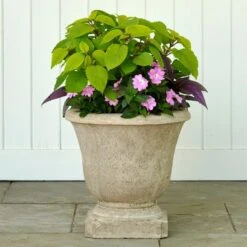 Albani Urn, Natural