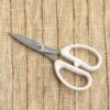 Teflon Floral Scissors -Planticaa Sales Store x600 29463