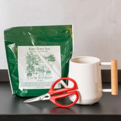 Foliage Plant Success Kit