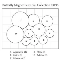 Butterfly Magnet Perennial Collection 15 Butterfly Magnet Perennial Collection -Planticaa Sales Store x600 32077