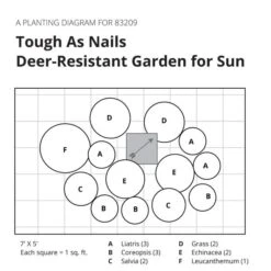 Tough As Nails Deer-Resistant Garden For Sun -Planticaa Sales Store x600 32083
