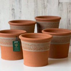 Whichford Poppy Pot -Planticaa Sales Store x600 33009