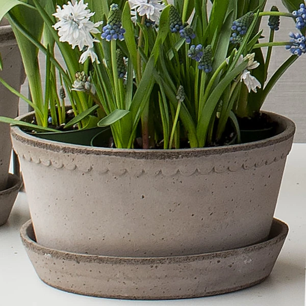 Gray Cottage Dish Planter And Saucer, 8½" Wide 4 Gray Cottage Dish Planter And Saucer, 8½" Wide - Image 2