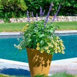 Sun & Sky Annual Collection