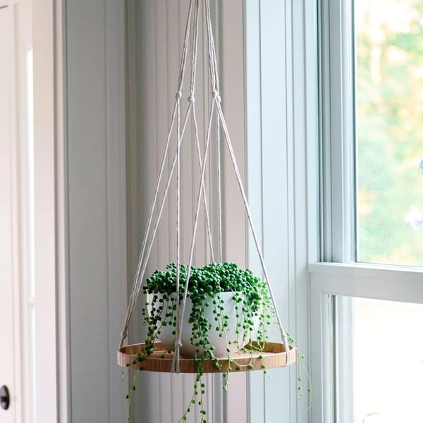 Hanging Plant Tray 3 Hanging Plant Tray