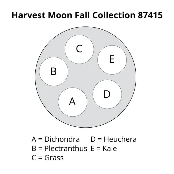 Harvest Moon Fall Collection 4 Harvest Moon Fall Collection - Image 2