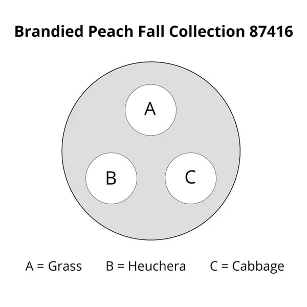 Brandied Peach Fall Collection 4 Brandied Peach Fall Collection - Image 2