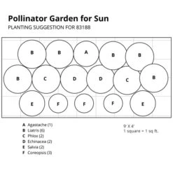 Pollinator Garden For Sun 19 Pollinator Garden For Sun -Planticaa Sales Store x600 37399