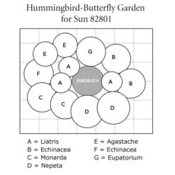 Hummingbird-Butterfly Garden For Sun -Planticaa Sales Store x600 37676