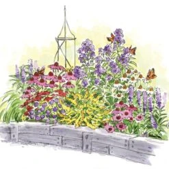 Start A Garden For Butterflies