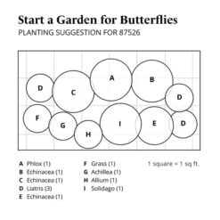 Start A Garden For Butterflies -Planticaa Sales Store x600 37680