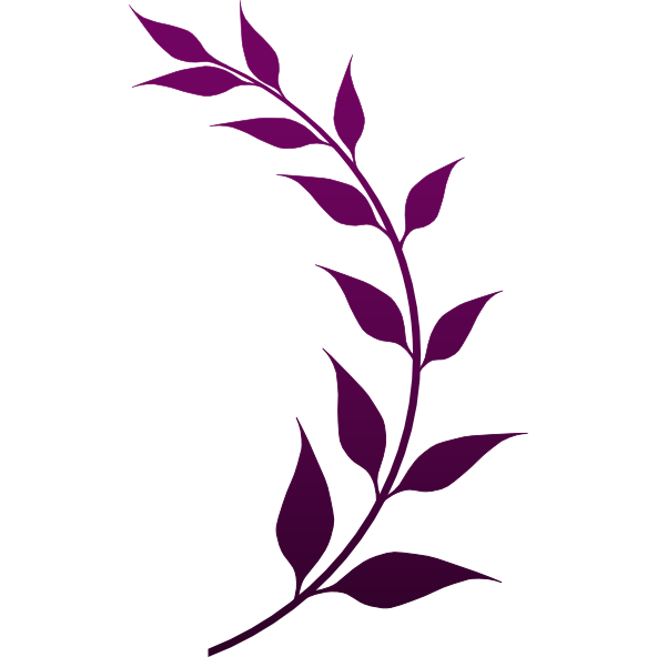 Planticaa Sales Store